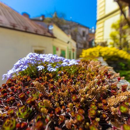 Penzion U Hradku Кутна-Гора Экстерьер фото